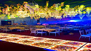 The Oakridge Pavilion