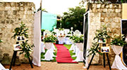 Cathedral Garden